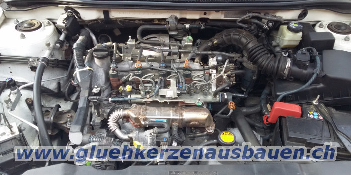 Abgerissene Glühkerze ausbauen aus Toyota mit
1.4 D-4D Motor