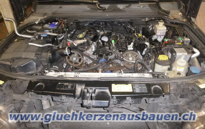 Abgerissene Glhkerze ausbauen aus Land
                      Rover Discovery 3 TVD6 2,7