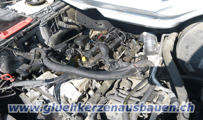 Abgerissene Glühkerzen
ausbauen aus Mercedes Vito / Viano W639 mit 2.2Motor und
Hinterradantrieb